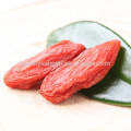 Certified organic goji berry healthy dried goji gerries